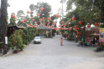 Ngôi chùa ở Sài Gòn 'Bố già' Trấn Thành đến suy nghĩ có gì trong 300 năm qua? - ảnh 1