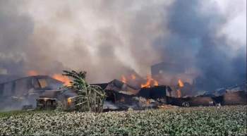 Hà Nội: Cháy lớn gây thiệt hại khoảng 10 xưởng gỗ tại Thạch Thất - Ảnh 3.