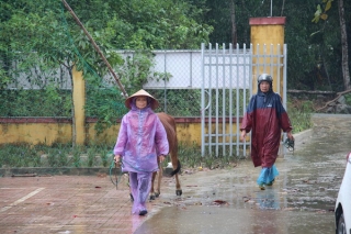 Mưa lớn, Hà Tĩnh nhiều nơi chìm trong biển nước - Ảnh 13.