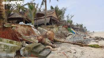 Cận cảnh bãi biển đẹp nhất châu Á ngổn ngang sau gần 1 tháng bão Vamco quét qua - 5