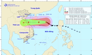 Bão số 8 suy yếu dần thì bão số 9 xuất hiện trên Biển Đông - Ảnh 2.