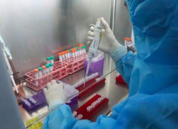 Đã có kết quả giải trình tự gene virus SARS-CoV-2 ở ổ dịch Chí Linh, Vân Đồn - Ảnh 3.