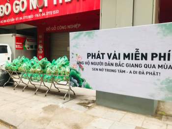 Thả tim cho người Hà Nội mua 2 tấn vải Bắc Giang mang về phát miễn phí - ảnh 1