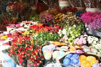 Chợ hoa lớn nhất Hà Nội họp thâu đêm suốt sáng những ngày trước Tết - ảnh 2