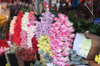 Chợ hoa lớn nhất Hà Nội họp thâu đêm suốt sáng những ngày trước Tết - ảnh 5