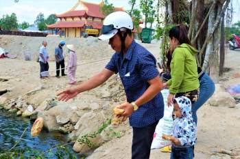 Hàng ngàn con cá trê nổi lên 'xin ăn' ở miền Tây - ảnh 6