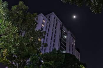 Người Sài Gòn ngẩn ngơ trước ‘siêu trăng giun’ đầu tiên trong năm 2021 - ảnh 7