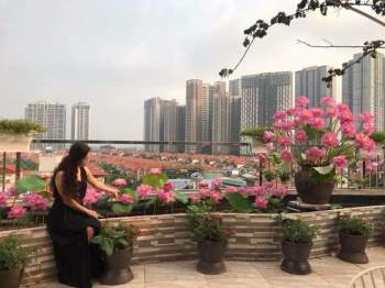 Người phụ nữ với vườn hoa 'độc nhất' trên sân thượng 200 mét vuông giữa thành phố - ảnh 9