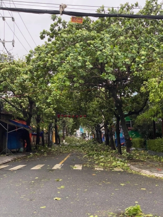 Khung cảnh Hội An xơ xác sau cơn bão số 9, một biểu tượng du lịch bị vùi dập khiến du khách quặn lòng - Ảnh 2.