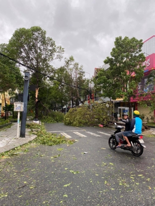 Khung cảnh Hội An xơ xác sau cơn bão số 9, một biểu tượng du lịch bị vùi dập khiến du khách quặn lòng - Ảnh 3.