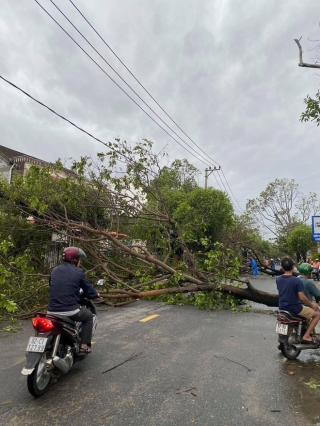 Khung cảnh Hội An xơ xác sau cơn bão số 9, một biểu tượng du lịch bị vùi dập khiến du khách quặn lòng - Ảnh 3.