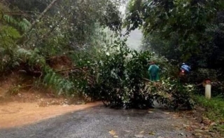 Mưa lớn gây sạt lở, thiệt hại về người và tài sản khu vực Bắc Tây Nguyên