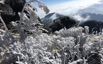 Các khu vực núi cao nhiều khả năng xảy ra băng giá và sương muối, nhiệt độ xuống dưới 0 độ C. Ảnh: TL