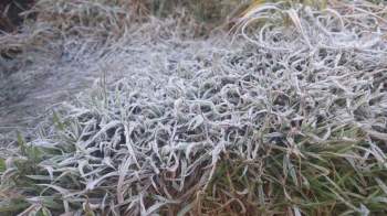 Nhiệt độ Fansipan xuống dưới 0 độ C, băng giá phủ trắng cỏ cây, mặt đất - 5