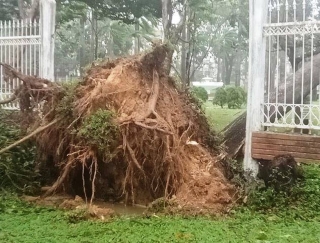 Siêu bão số 9 đổ bộ: Triệu người miền Trung, ai cũng thấy 'kinh hoàng' giữa cuồng phong - ảnh 20