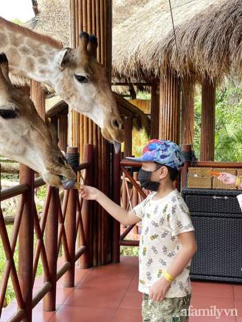Mẹ Hà Nội kể hành trình đưa 2 con đi chơi tại Safari Phú Quốc, kết luận một câu: 