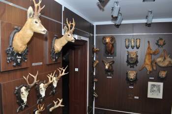 Rùng rợn khung cảnh bên trong bảo tàng 'thợ săn' ở Romania