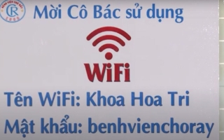 Những người xoa dịu nỗi đau cho bệnh nhân ung thư - Ảnh 5.