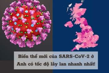 4 biến chủng SARS-CoV-2 đã xuất hiện tại Việt Nam - Ảnh 3.