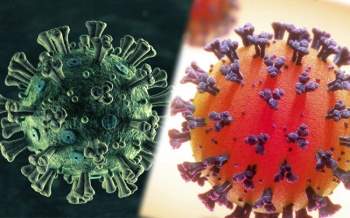 Biến chủng mới SARS-COV-2 ở Anh được chứng minh tăng nguy cơ với người trẻ: Virus như một tên trộm thành thạo 
