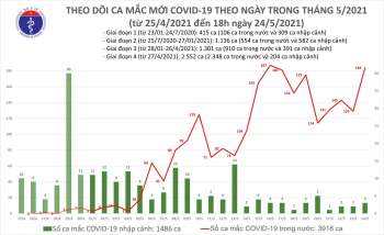 Tối 24/5, Việt Nam ghi nhận thêm 95 ca mắc COVID-19 mới - Ảnh 1.