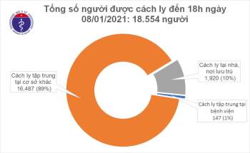 Chuyên gia đến từ Áo và 2 người khác mắc COVID-19, Việt Nam có 1.512 bệnh nhân - Ảnh 2.