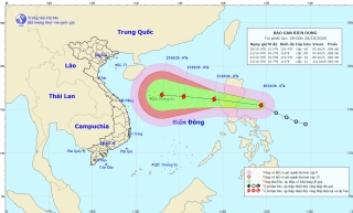 Cảnh báo thông tin giả mạo về bão số 8