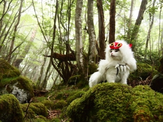 Chú mèo chuyên cosplay các nhân vật anime nổi tiếng, sở hữu 16 nghìn fan trung thành ngồi hóng ngày đêm - Ảnh 2.