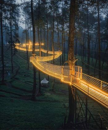Cây cầu 'phát ánh sáng' kỳ diệu trong khu rừng Indonesia