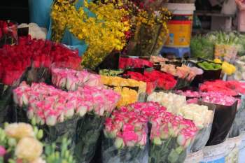 Chợ hoa lớn nhất Hà Nội tất bật, nhộn nhịp kẻ bán, người mua dịp 8.3 - ảnh 3