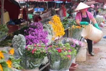Chợ hoa lớn nhất Hà Nội tất bật, nhộn nhịp kẻ bán, người mua dịp 8.3 - ảnh 8
