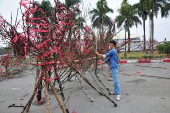 Chợ hoa xuân Mỹ Đình nhộn nhịp khách đi sắm tết - Ảnh 5.