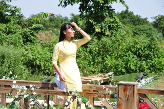 Chị em tíu tít chụp ảnh tại vườn cúc họa mi nở sớm nhất của làng hoa Nhật Tân - Ảnh 7.