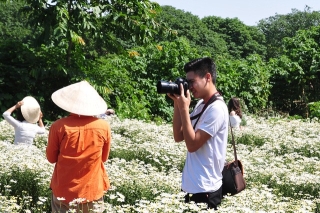 Chị em tíu tít chụp ảnh tại vườn cúc họa mi nở sớm nhất của làng hoa Nhật Tân - Ảnh 5.