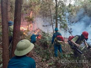 Cháy rừng thông tại thị xã Nghi Sơn ngày 31/7/2020. Ảnh: Trần Đại