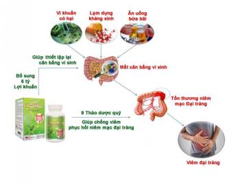 BoniBaio – Bí quyết 'đánh bại' viêm đại tràng và hội chứng ruột kích thích - 3