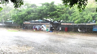 Đảo Lý Sơn thiệt hại nặng do bão số 6