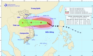 Thông tin mới nhất về bão số 8 đang giật cấp 15 trên biển Đông - Ảnh 1.