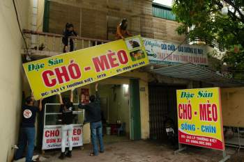 FOUR PAWS đóng cửa một nhà hàng và lò mổ thịt mèo ở Thái Bình - ảnh 2