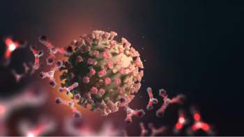 Hai biến thể hoàn toàn mới của virus SARS-CoV-2 được phát hiện ở Mỹ - Ảnh 1.