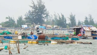 'Đêm nay thức trắng chờ bão số 9 tan bởi gia sản đang phó mặc cho trời' - ảnh 5