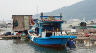 'Đêm nay thức trắng chờ bão số 9 tan bởi gia sản đang phó mặc cho trời' - ảnh 1