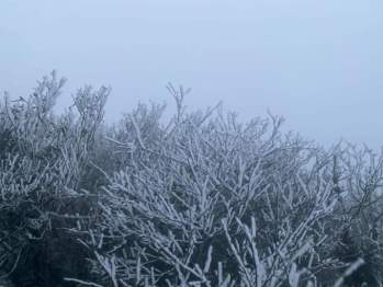 Cao Bằng, Bắc Kạn, Lạng Sơn, Hà Giang, Lào Cai) nhiệt độ thấp nhất vào đêm và sáng từ 9-12 độ, vùng núi 5-8 độ, vùng núi cao có nơi dưới 0 độ và có khả năng xảy ra băng giá, sương muối.