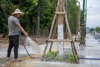 Can canh tuyen duong vao khu di tich Yen Tu anh 11