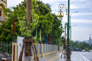 Can canh tuyen duong vao khu di tich Yen Tu anh 8