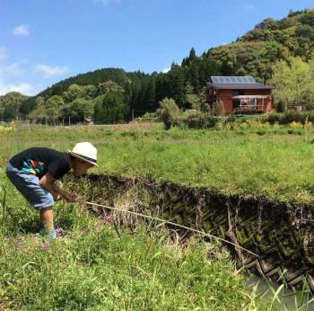 Từ thành phố chuyển về nông thôn ở nhà gỗ, gia đình Nhật Bản biến cuộc sống bình thường trở thành thiên đường! - Ảnh 18.