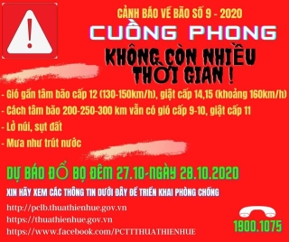  Yêu cầu người dân không ra khỏi nhà từ 20 - 21h tối nay - 2