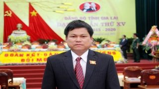 Gia Lai: Trưởng ban Tổ chức Tỉnh ủy bị đề nghị cách tất cả chức vụ trong Đảng