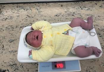 Hà Nội: Bé sơ sinh chào đời với cân nặng gần 6kg - Ảnh 1