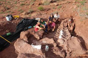 Một bộ hài cốt quái thú titanosaur được khai quật tại Argentina, ảnh của lần khai quật này vẫn chưa được công bố - Ảnh: CNN